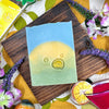 TROPICAL MARGARITA (dog cafe soap) [pre-order]
