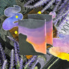 TWILIGHT DREAM (autumn vibes soap)